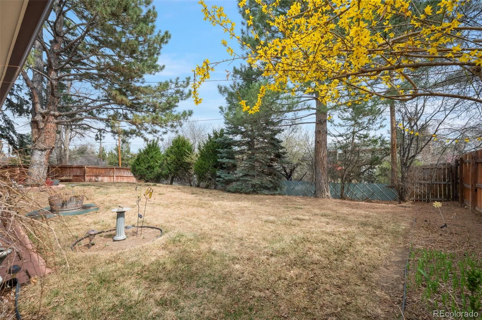 398 Uvalda Street Aurora CO 80011 MLS #REC5167614 05202026000953 1600 40