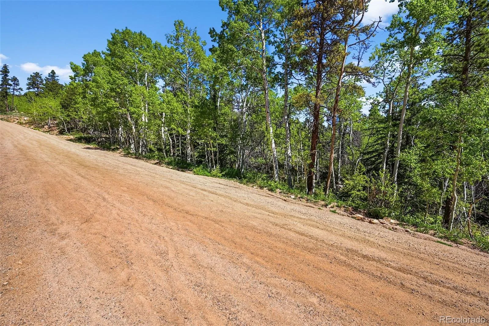 900 Rudi Lane Golden CO 80403 | MLS #REC5170458 07192026190845 1600 10
