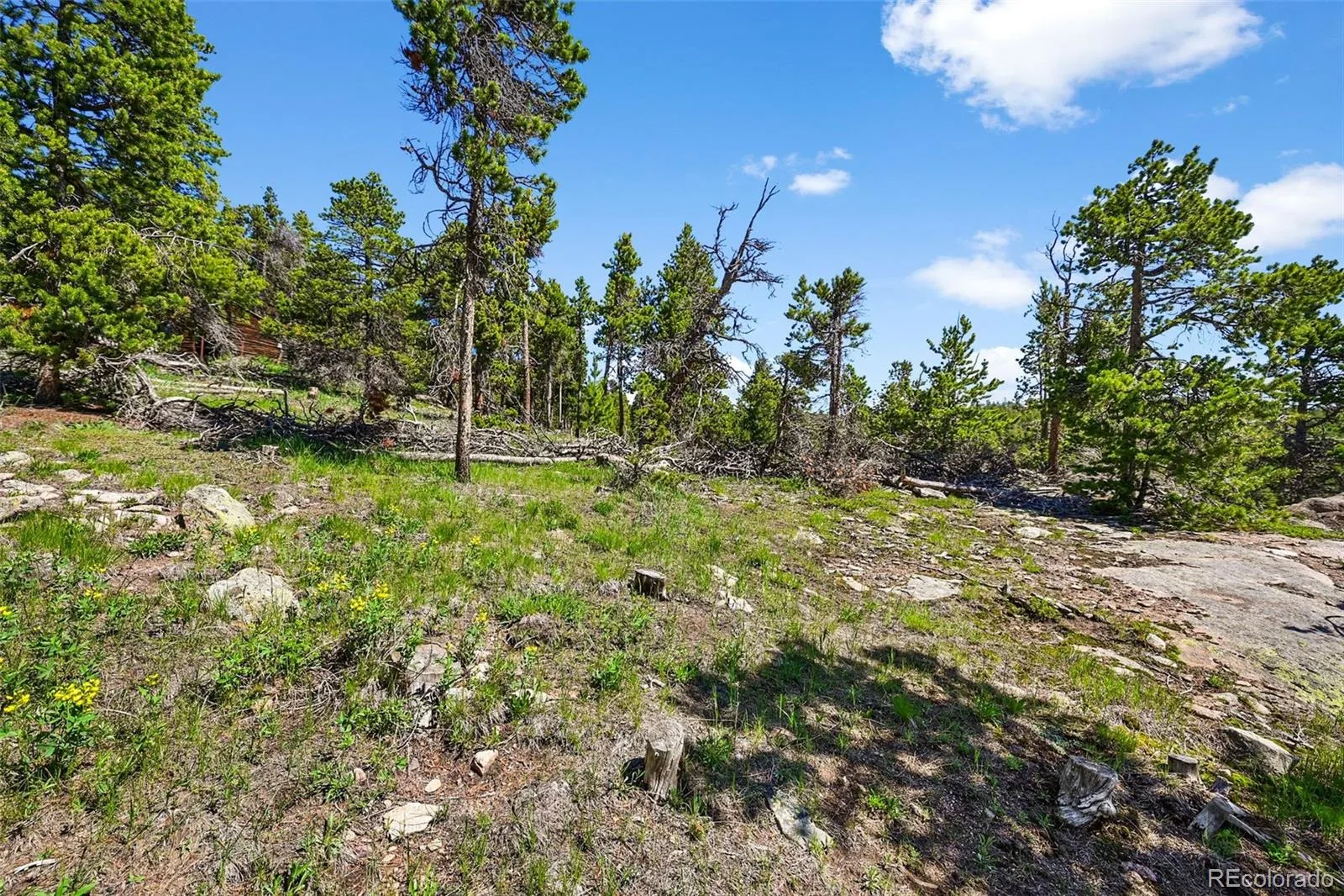 900 Rudi Lane Golden CO 80403 | MLS #REC5170458 07192026190845 1600 14