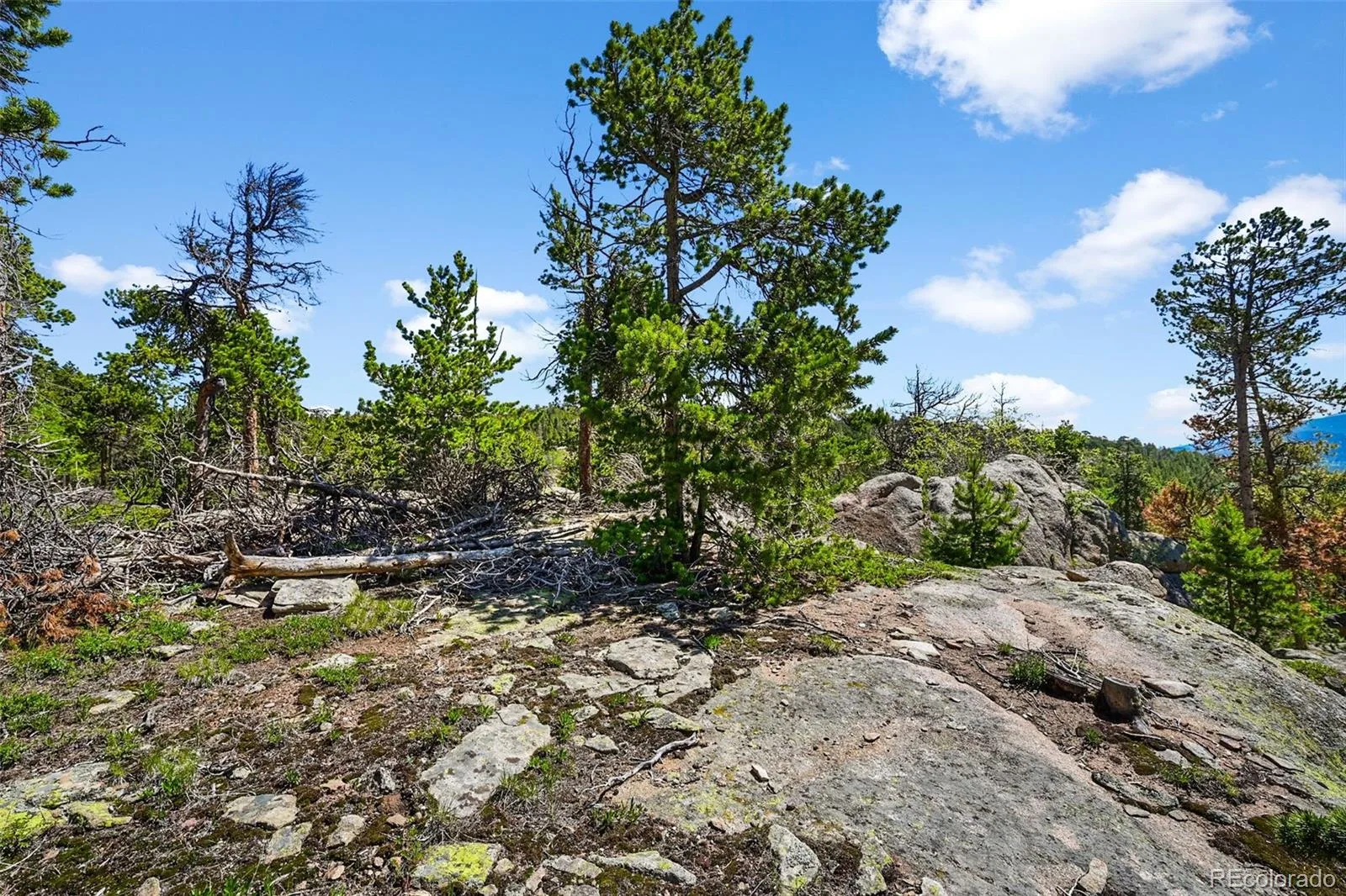 900 Rudi Lane Golden CO 80403 | MLS #REC5170458 07192026190845 1600 15