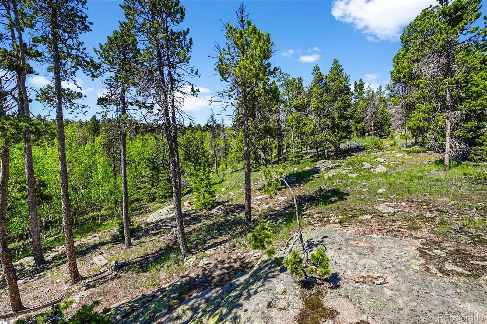 900 Rudi Lane Golden CO 80403 | MLS #REC5170458 07192026190845 1600 16
