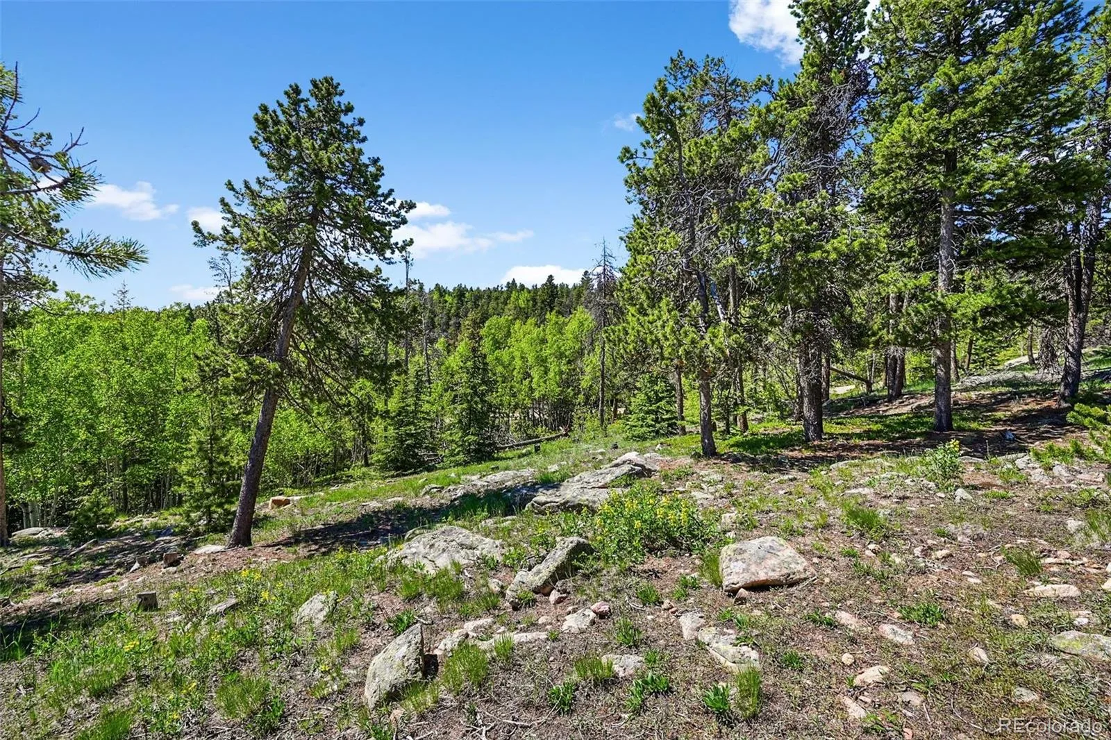 900 Rudi Lane Golden CO 80403 | MLS #REC5170458 07192026190845 1600 3