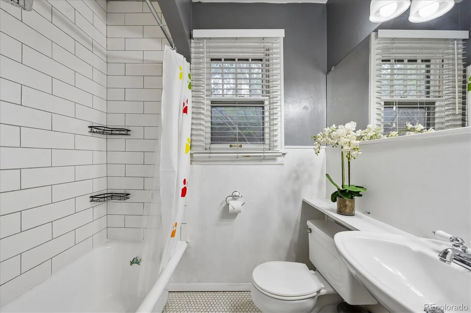 1400 Elm Street Denver CO 80220 | MLS #REC5172388 07282026222949 1600 13
