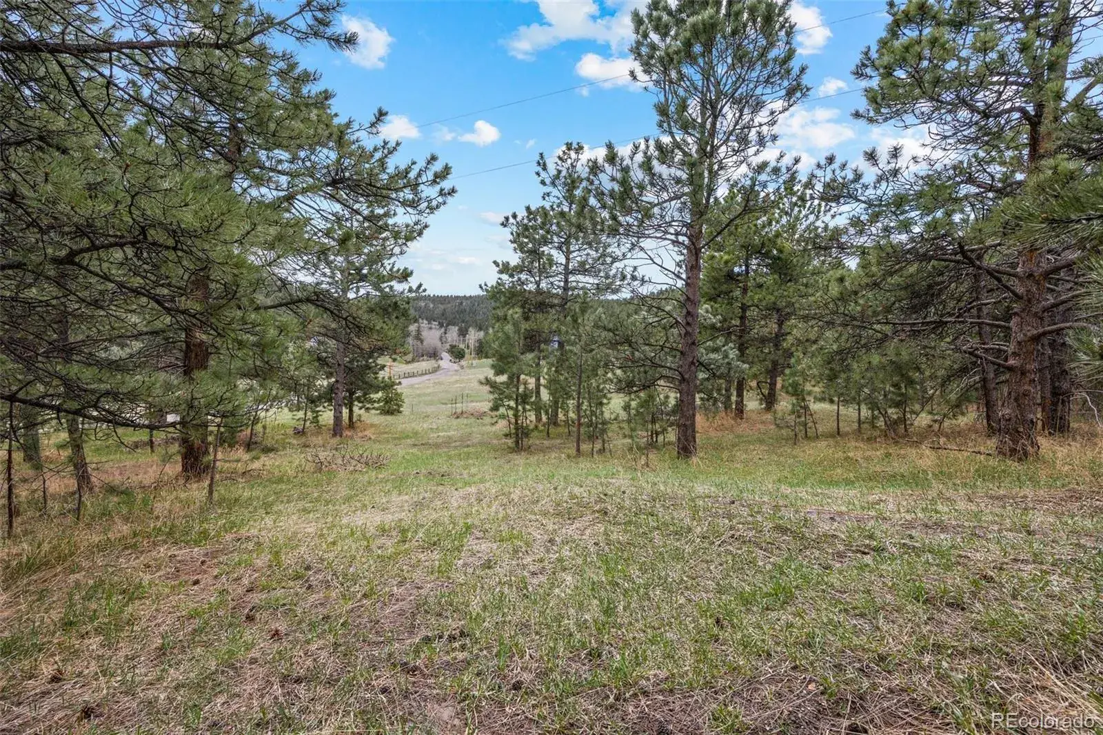 6068 S Skyline Drive Evergreen CO 80439 MLS #REC5181719 06062025070112 1600 10