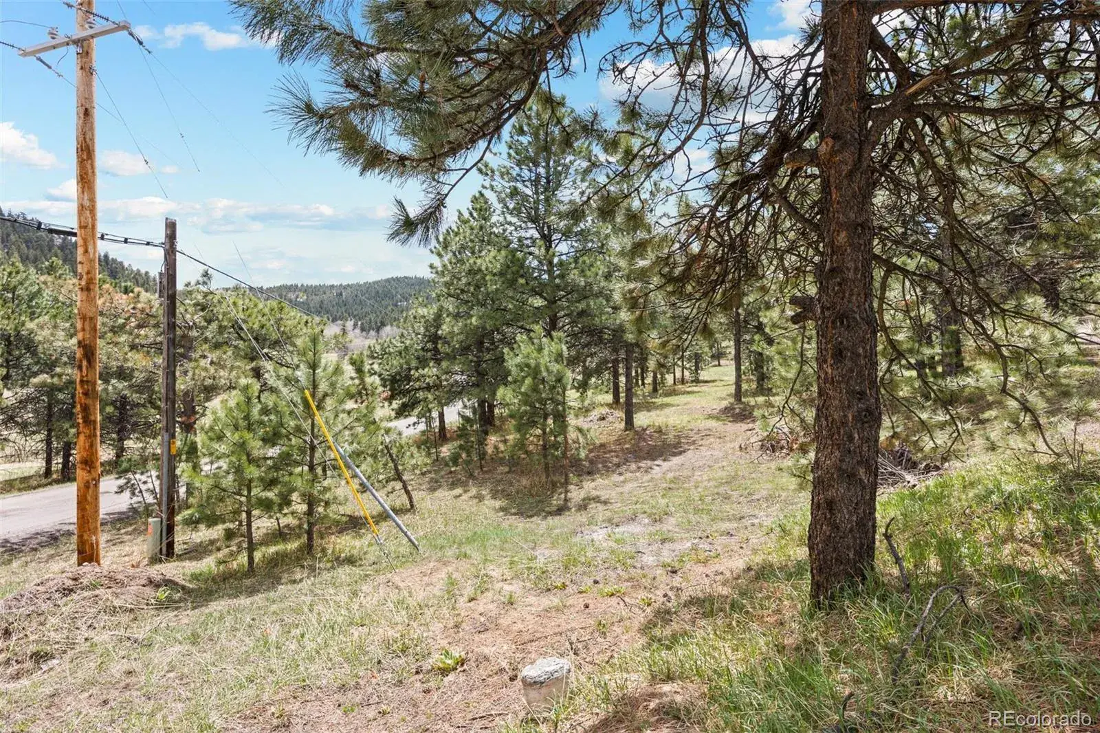 6068 S Skyline Drive Evergreen CO 80439 MLS #REC5181719 06062025070112 1600 14