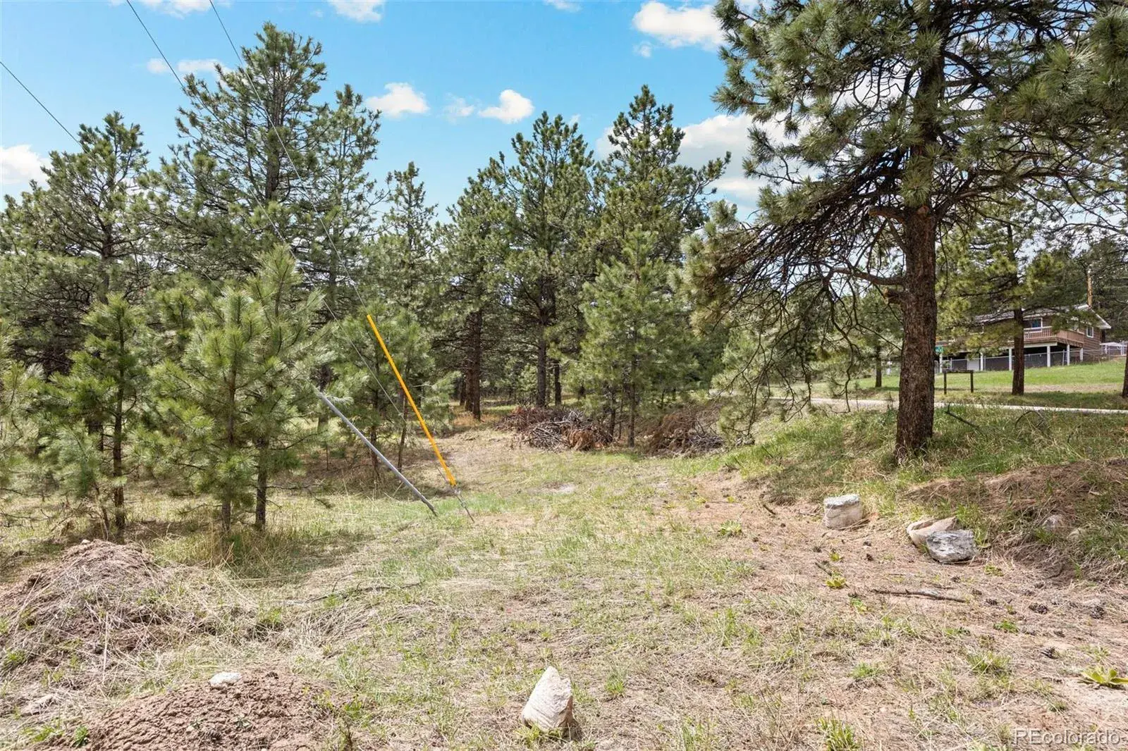 6068 S Skyline Drive Evergreen CO 80439 MLS #REC5181719 06062025070112 1600 15