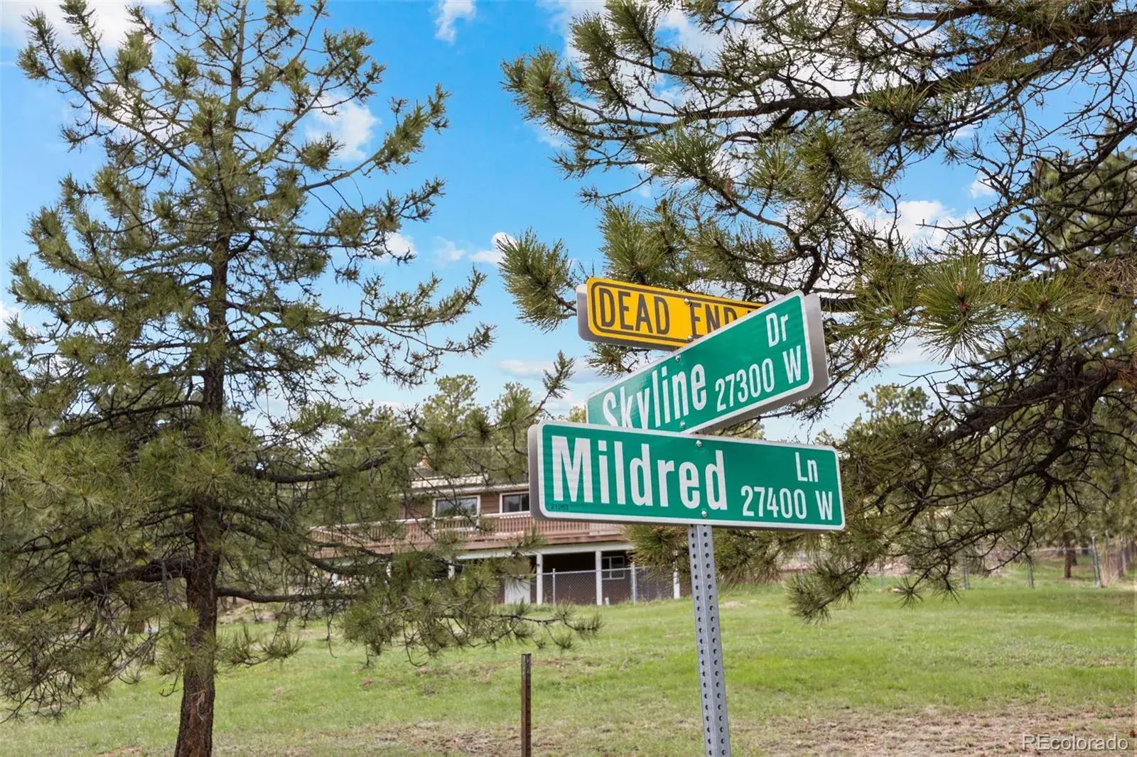 6068 S Skyline Drive Evergreen CO 80439 MLS #REC5181719 06062025070112 1600 16