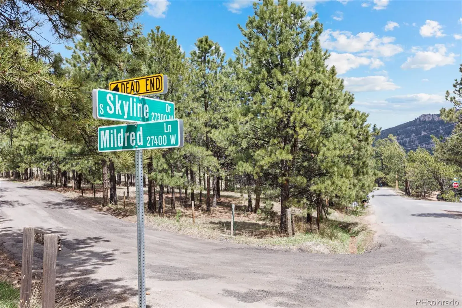 6068 S Skyline Drive Evergreen CO 80439 MLS #REC5181719 06062025070112 1600 17