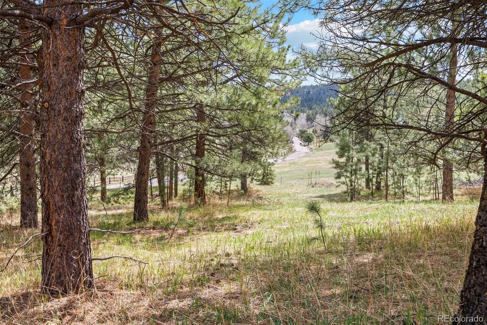 6068 S Skyline Drive Evergreen CO 80439 MLS #REC5181719 06062025070112 1600 18