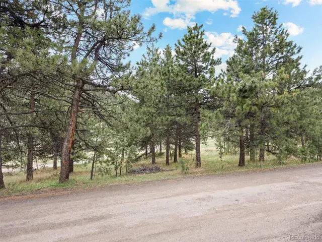 6068 S Skyline Drive Evergreen CO 80439 | MLS #REC5181719 06062025070112 640 11
