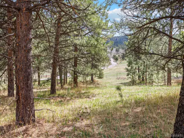 6068 S Skyline Drive Evergreen CO 80439 | MLS #REC5181719 06062025070112 640 18