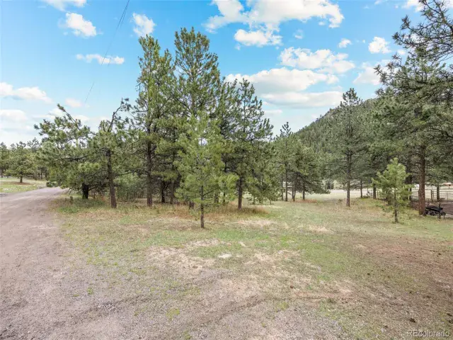 6068 S Skyline Drive Evergreen CO 80439 | MLS #REC5181719 06062025070112 640 35