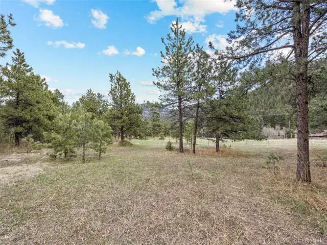 6068 S Skyline Drive Evergreen CO 80439 | MLS #REC5181719 06062025070112 640 4