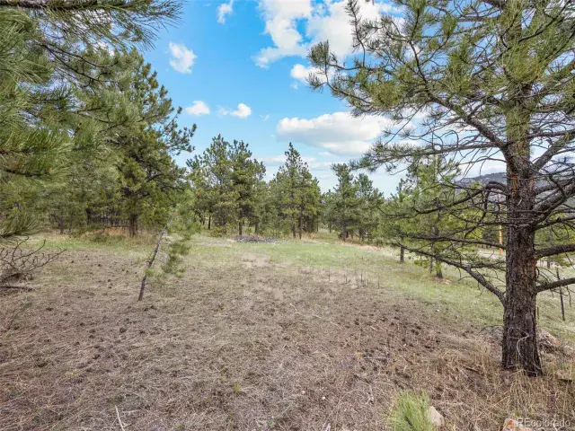6068 S Skyline Drive Evergreen CO 80439 | MLS #REC5181719 06062025070112 640 5