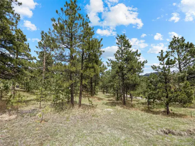 6068 S Skyline Drive Evergreen CO 80439 | MLS #REC5181719 06062025070112 640 7