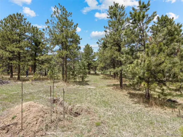 6068 S Skyline Drive Evergreen CO 80439 | MLS #REC5181719 06062025070112 640 8