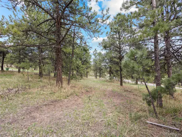 6068 S Skyline Drive Evergreen CO 80439 | MLS #REC5181719 06062025070112 640 9