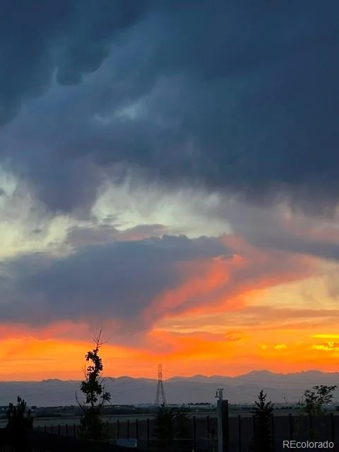 08242026062551 480 38