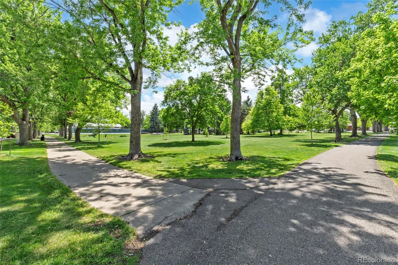 1600 Balsam Street Lakewood CO 80214 MLS #REC5184187 05052026192040 1600 31