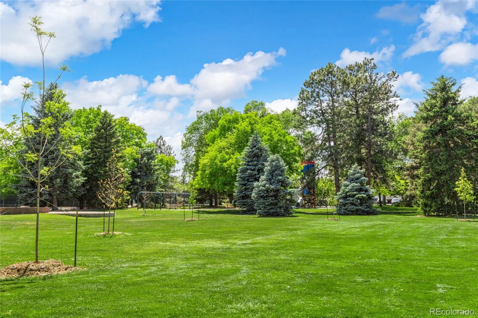 1600 Balsam Street Lakewood CO 80214 MLS #REC5184187 05052026192040 1600 32