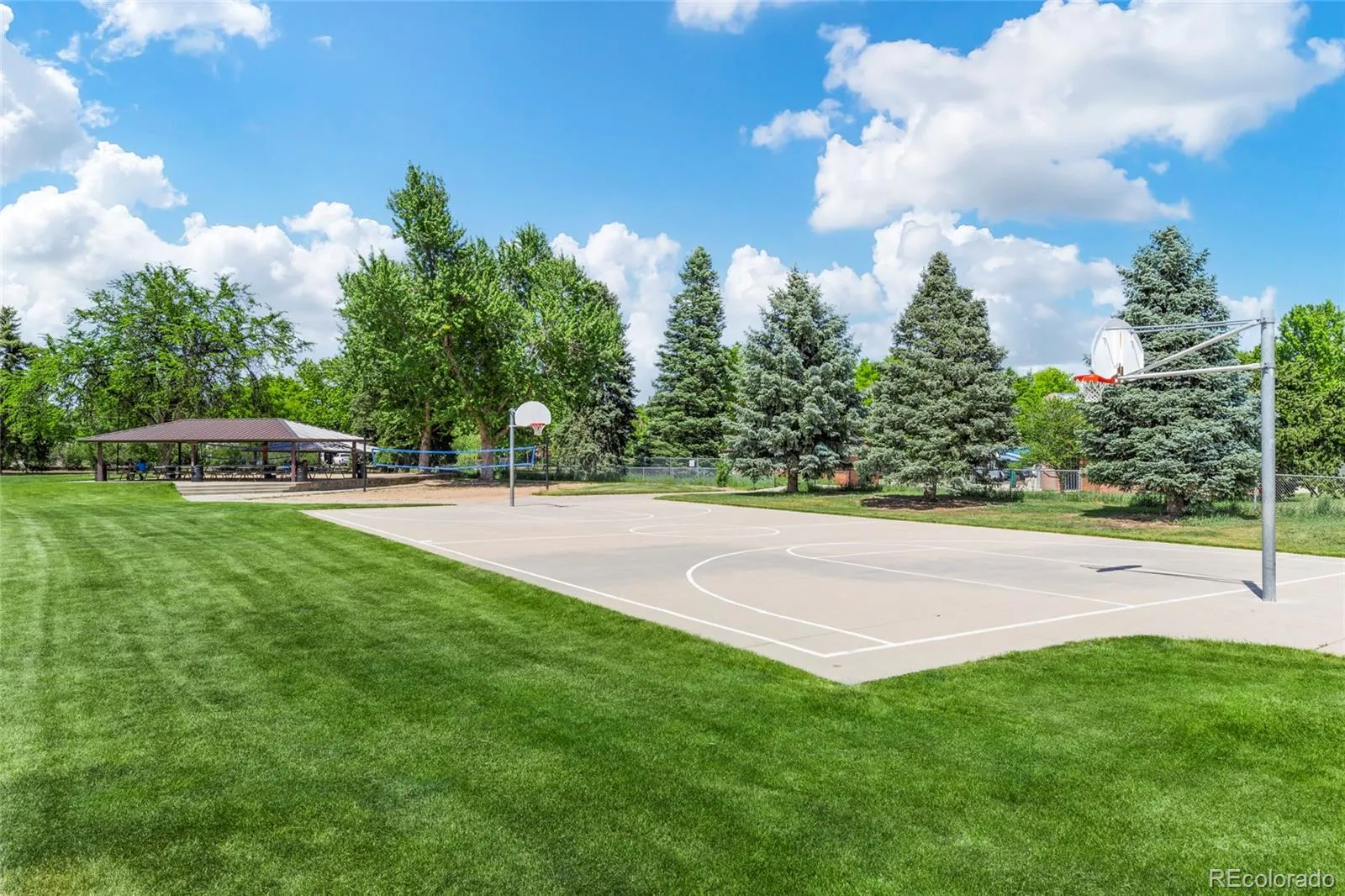 1600 Balsam Street Lakewood CO 80214 MLS #REC5184187 05052026192040 1600 35