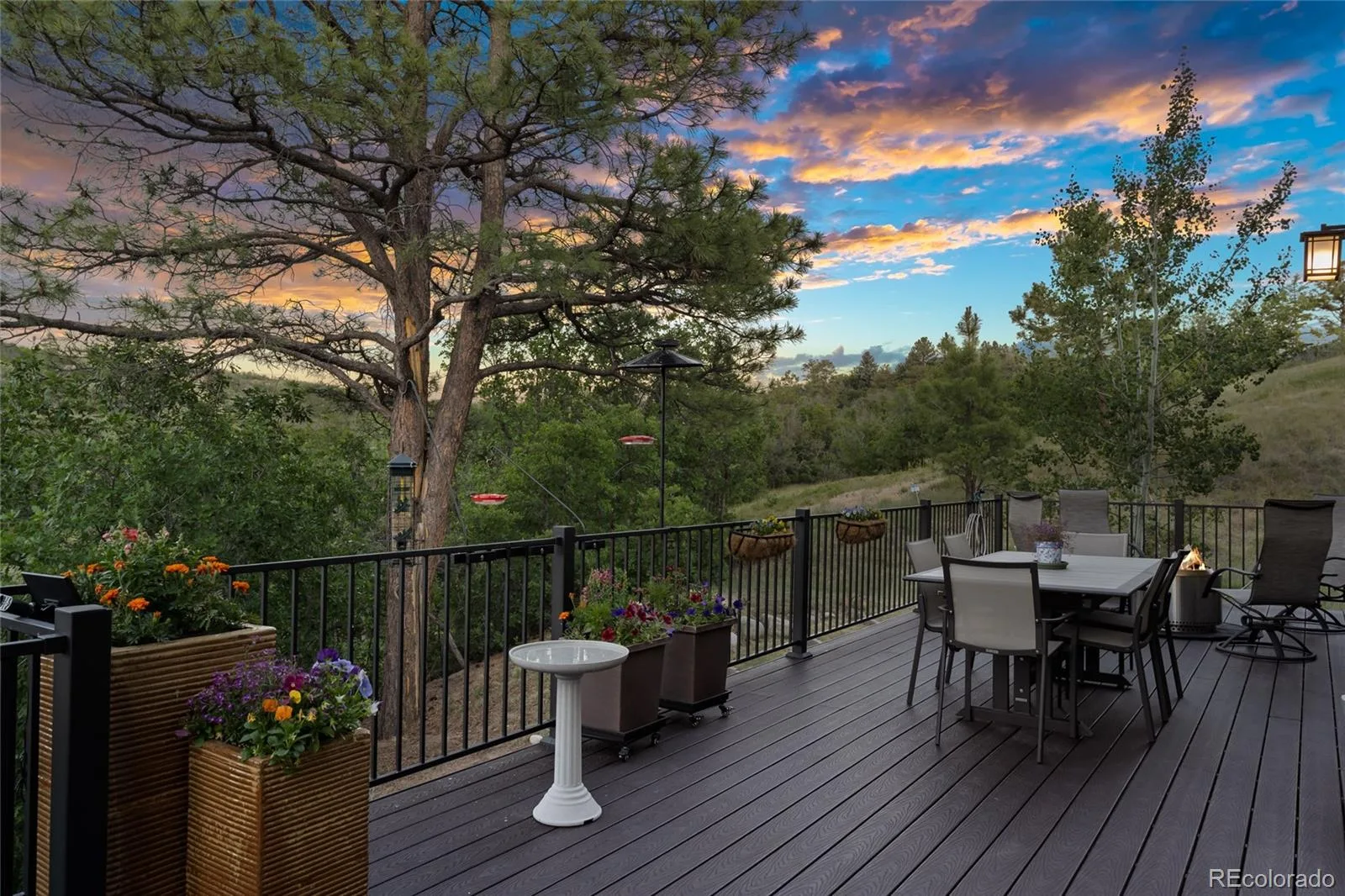 1394 Black Pine Court Castle Rock CO 80104 | MLS #REC5188680 08092026210922 1600 3