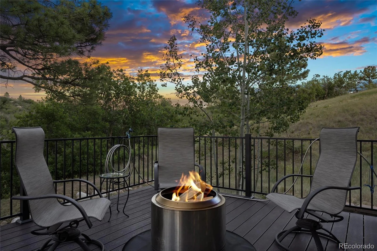 1394 Black Pine Court Castle Rock CO 80104 | MLS #REC5188680 08092026210922 1600 40