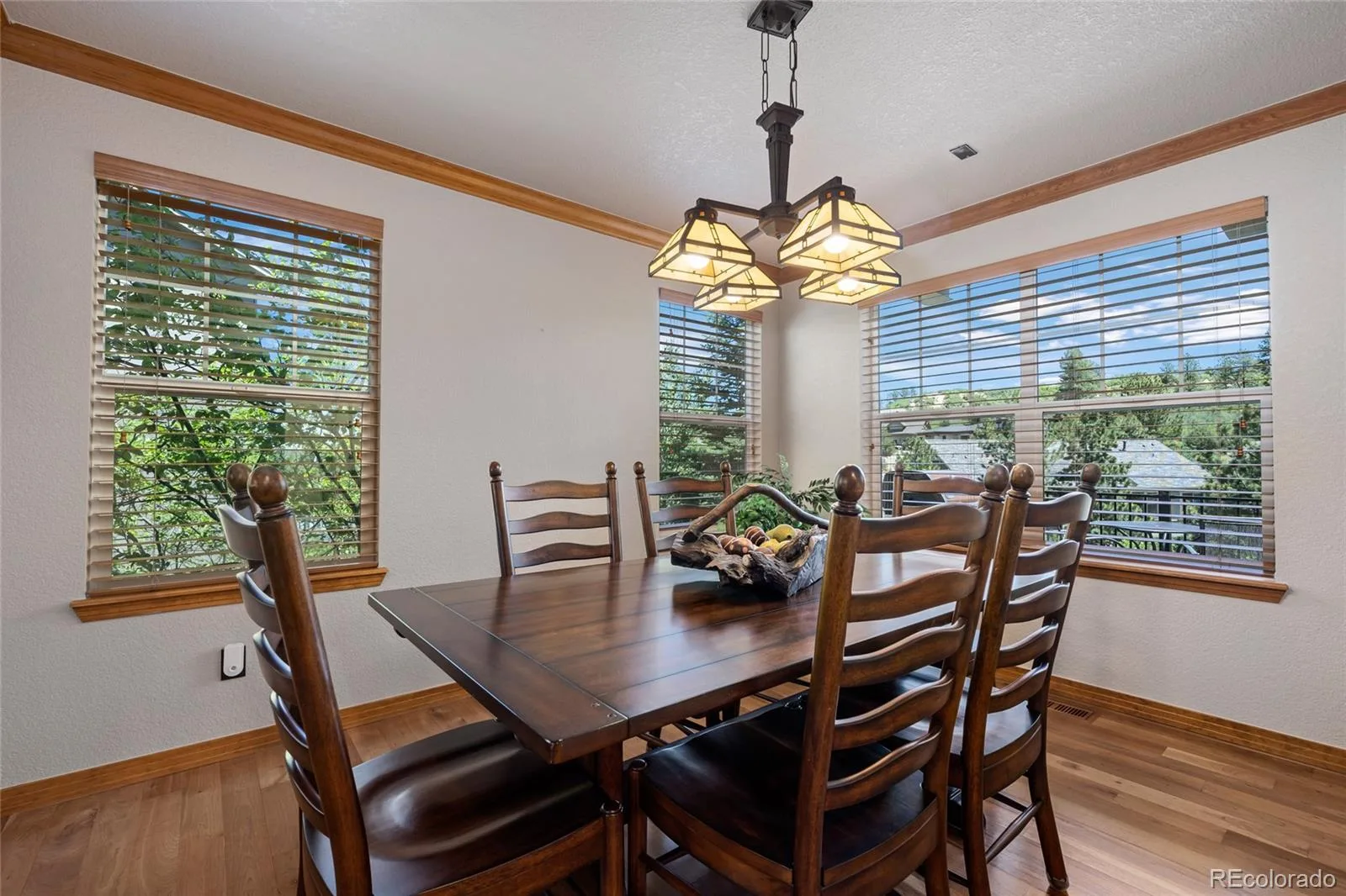 1394 Black Pine Court Castle Rock CO 80104 | MLS #REC5188680 08092026210922 1600 7