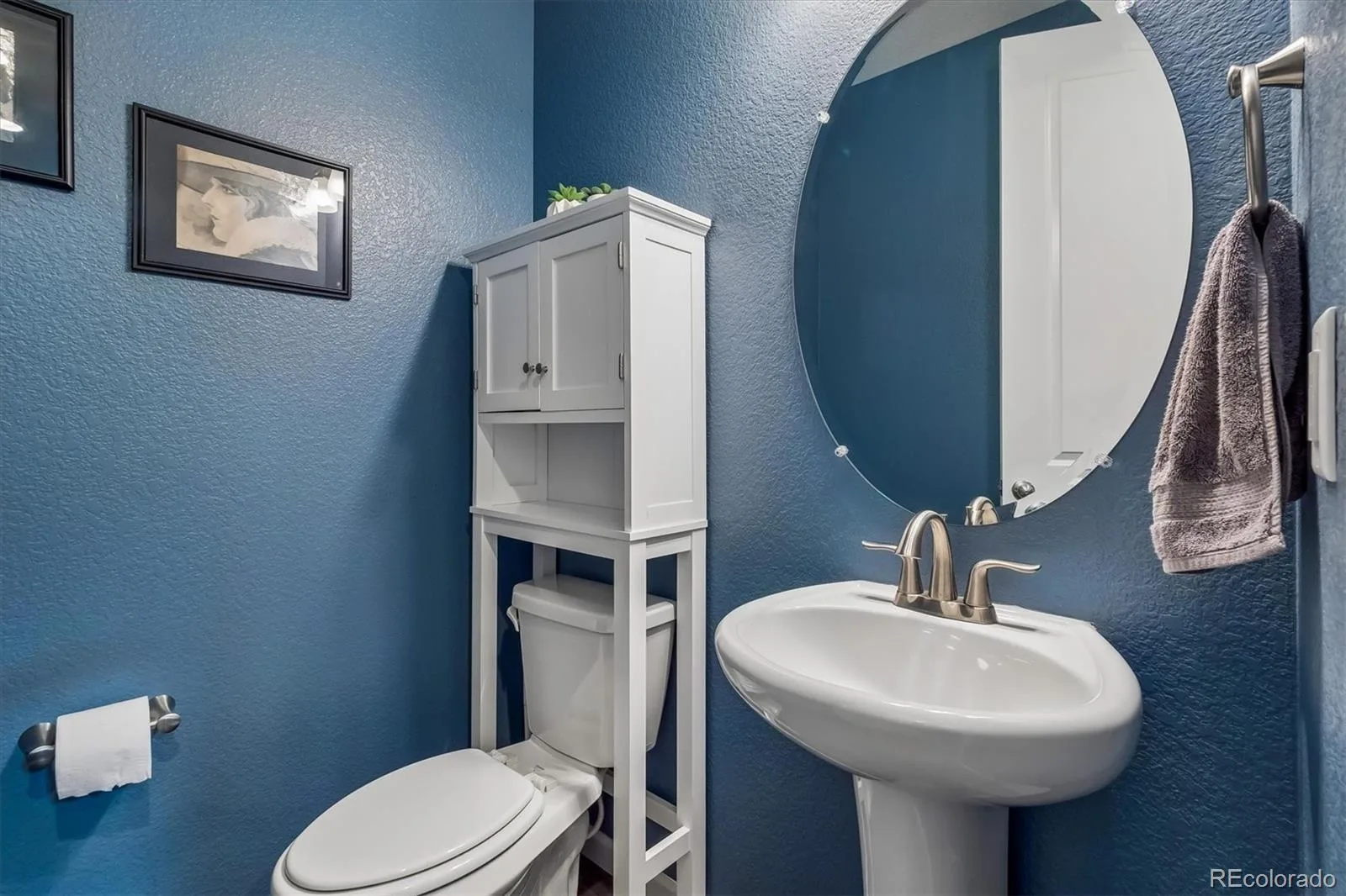 5215 Ditmars Trail Castle Rock CO 80104 | MLS #REC5195267 06192026074630 1600 16