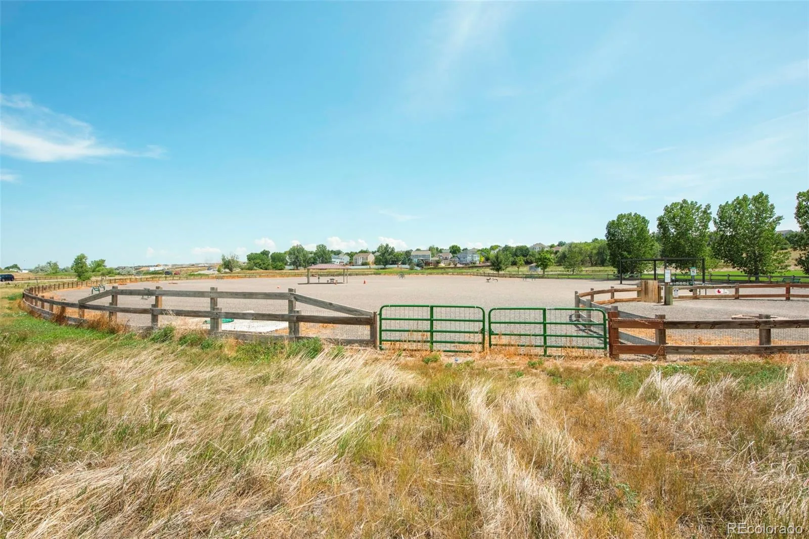 6514 W 96th Drive Broomfield CO 80021 | MLS #REC5196494 07172026193356 1600 20