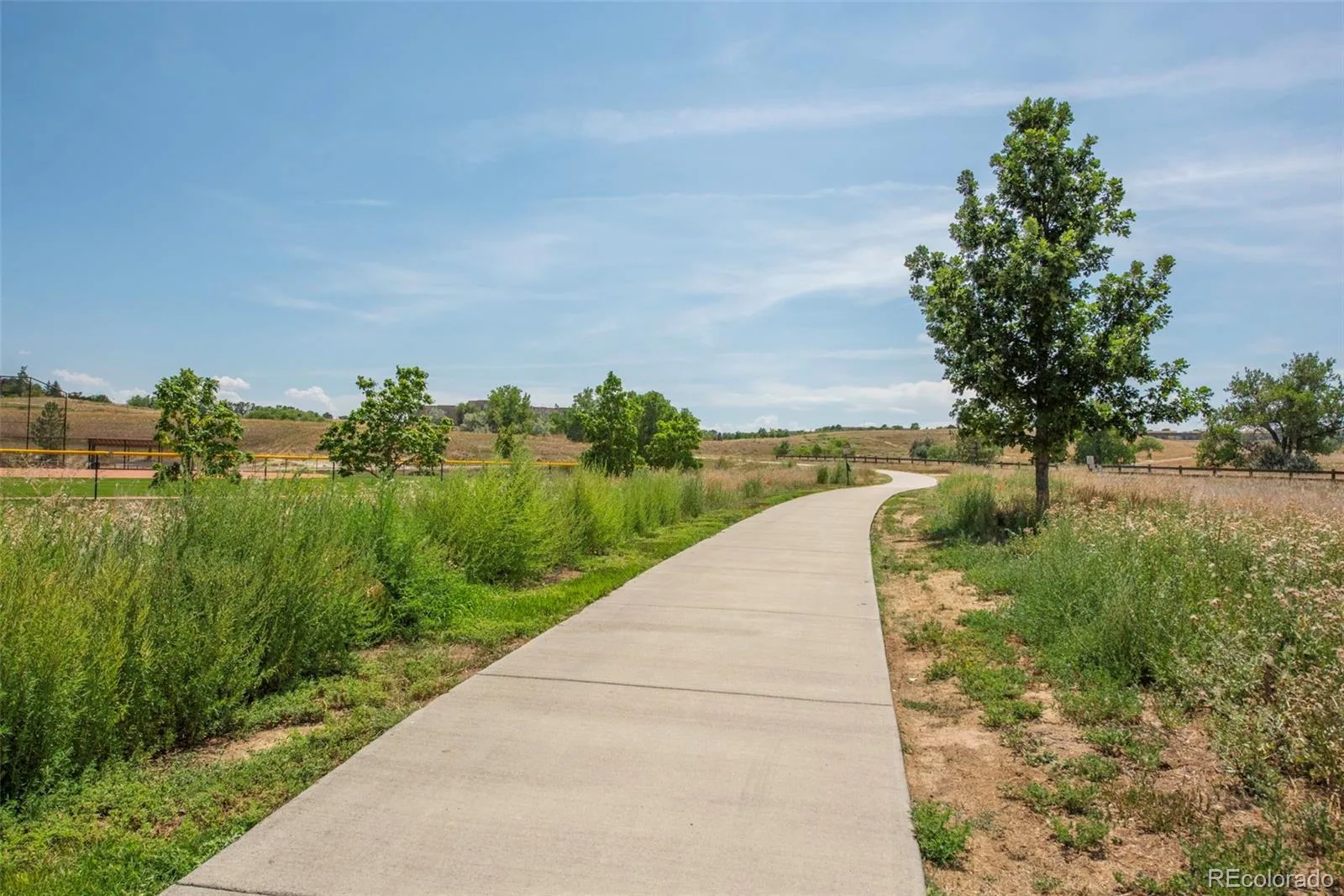 6514 W 96th Drive Broomfield CO 80021 | MLS #REC5196494 07172026193356 1600 23