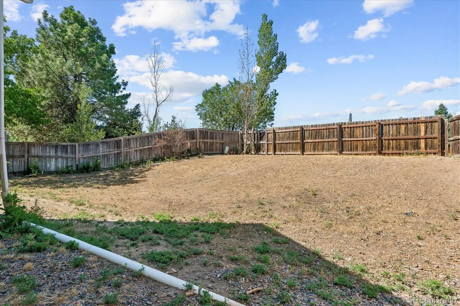 07302026211613 1600 18