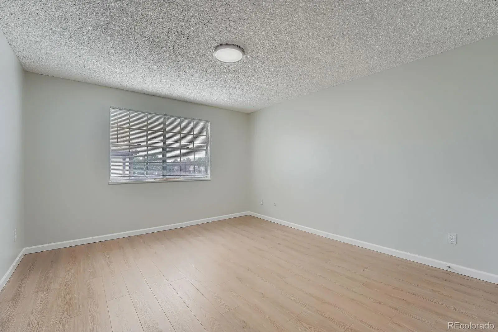 02042026175705 1600 12