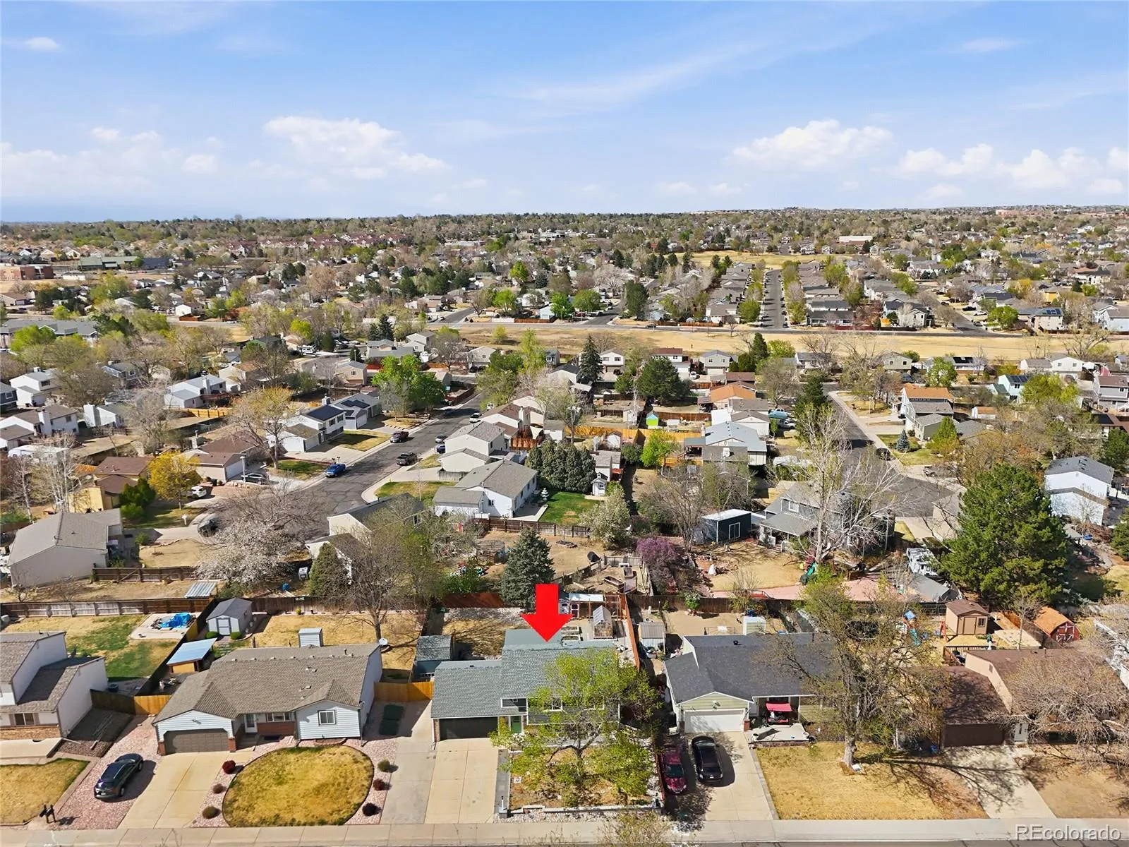 04132026135253 1600 46