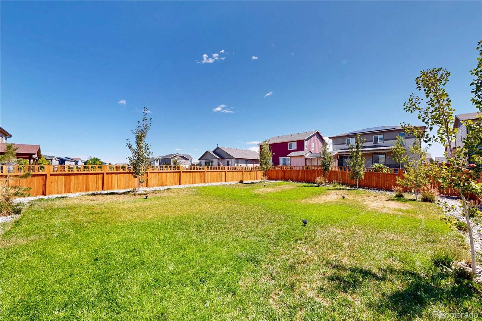 6190 Bauer Court Frederick CO 80504 | MLS #REC5209214 08062026155904 1600 34