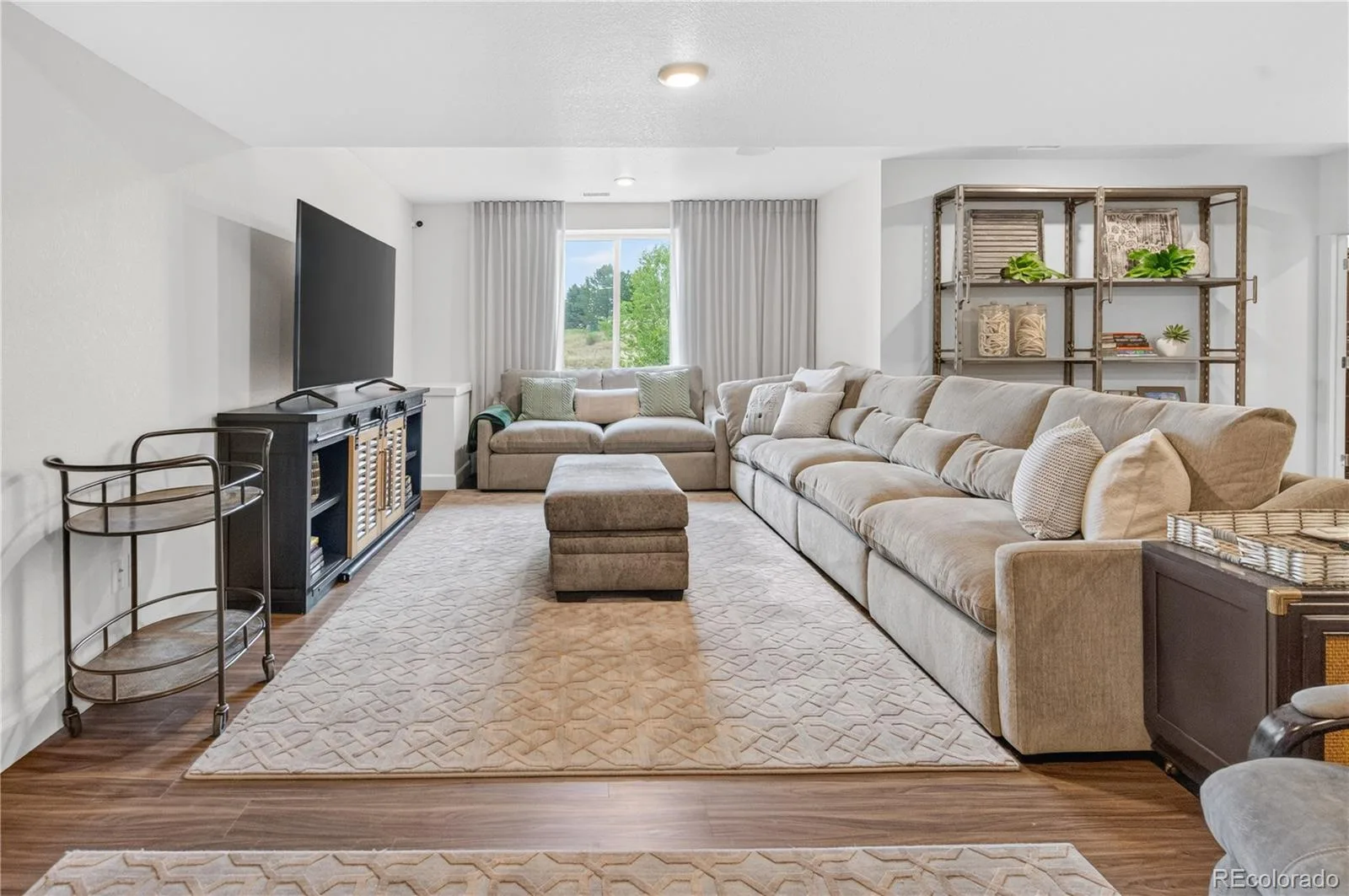 6845 Zebra Grass Lane Parker CO 80138 | MLS #REC5209334 07152026075310 1600 17