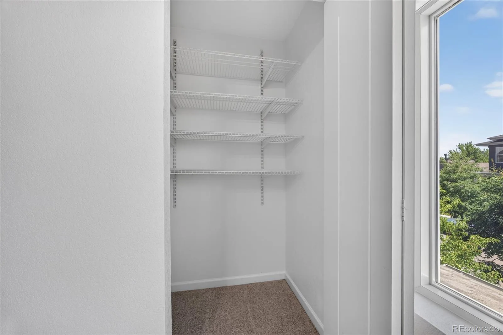 5843 Boston Street Denver CO 80238 | MLS #REC5218652 07252026020535 1600 17
