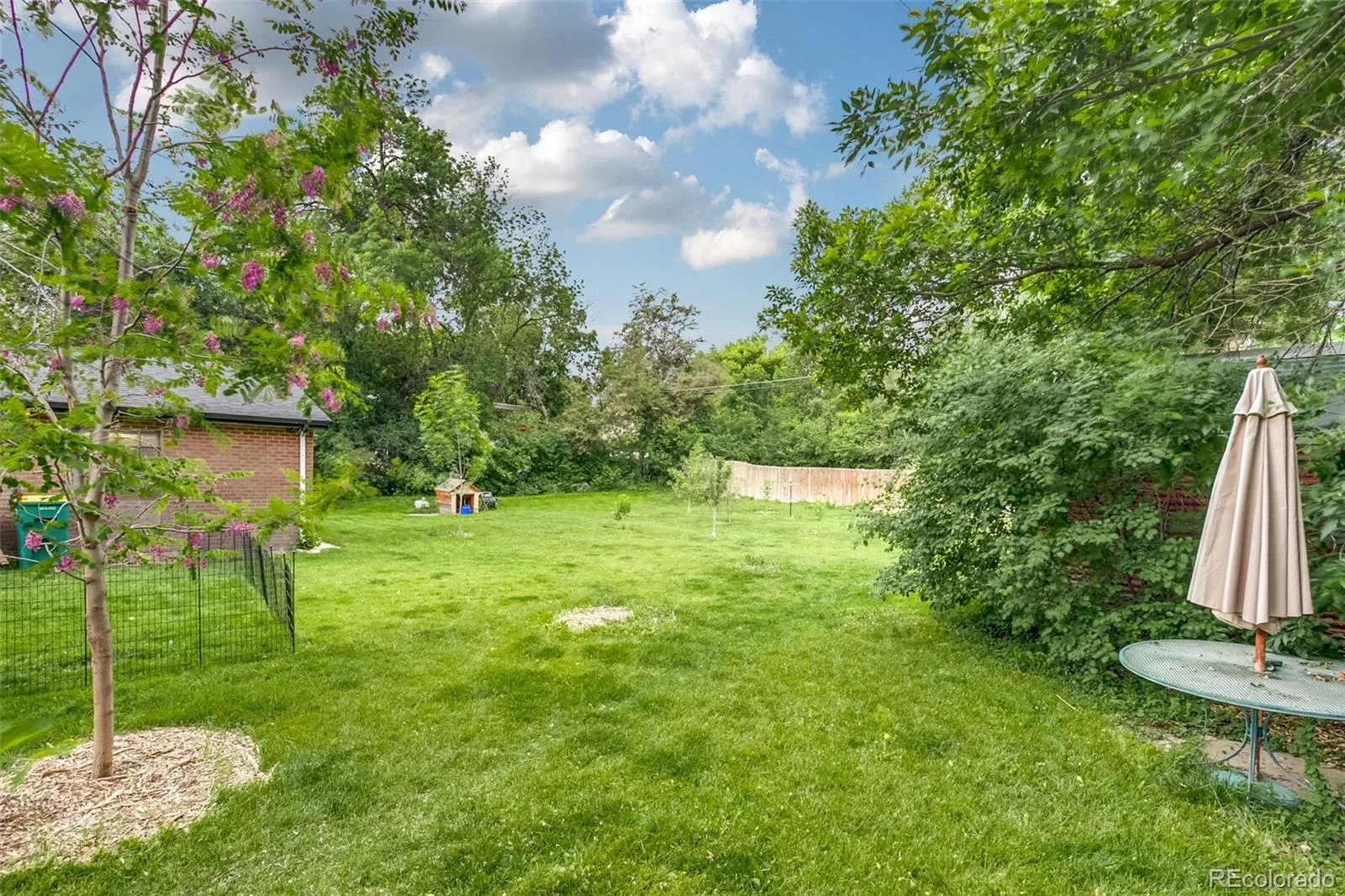 755 Holland Street Lakewood CO 80215 MLS #REC5227783 06022026184553 1600 34