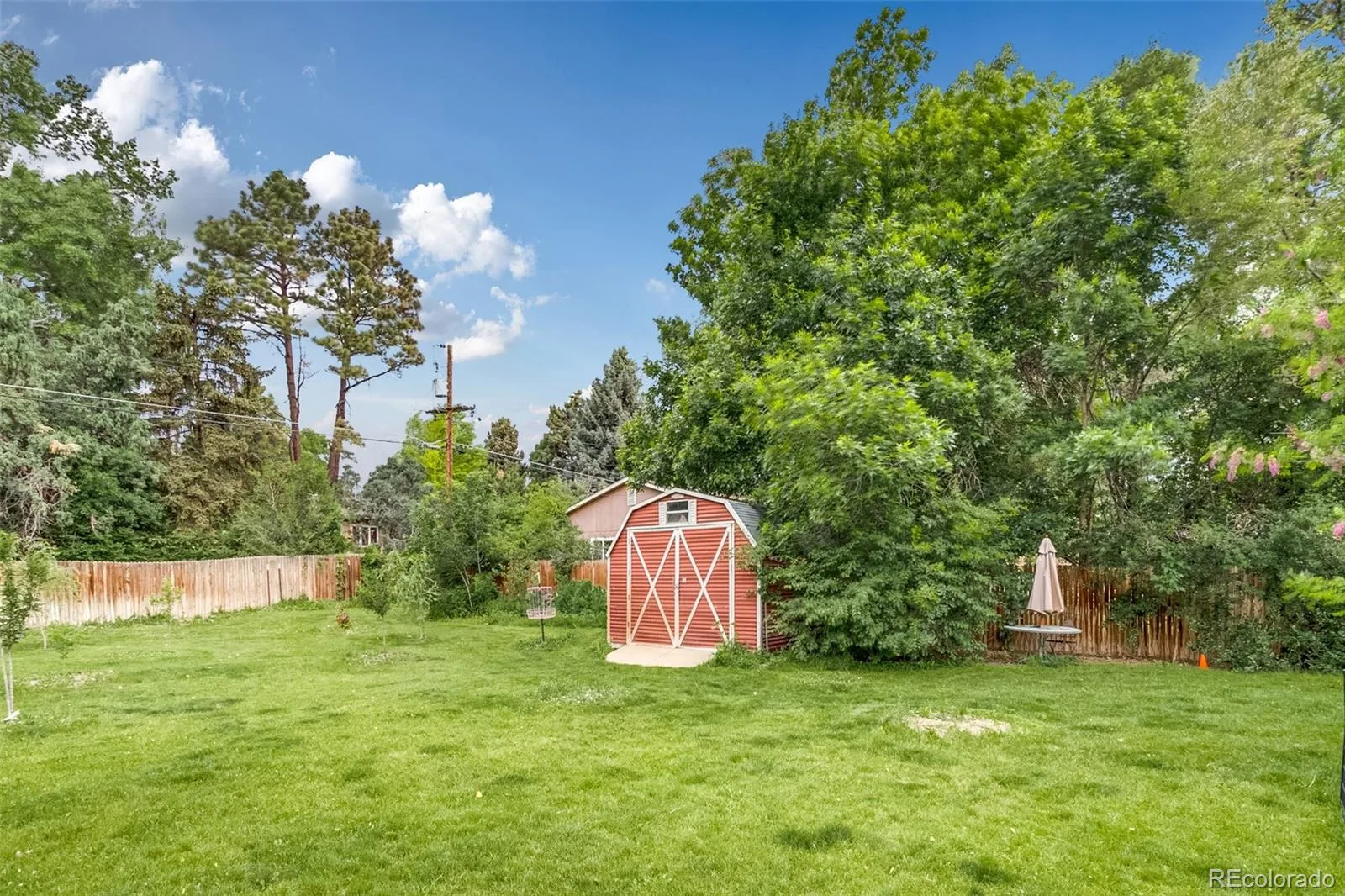 755 Holland Street Lakewood CO 80215 MLS #REC5227783 06022026184553 1600 35