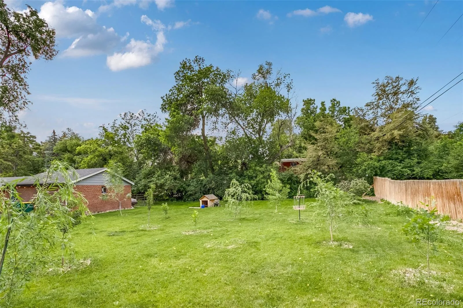 755 Holland Street Lakewood CO 80215 MLS #REC5227783 06022026184553 1600 37