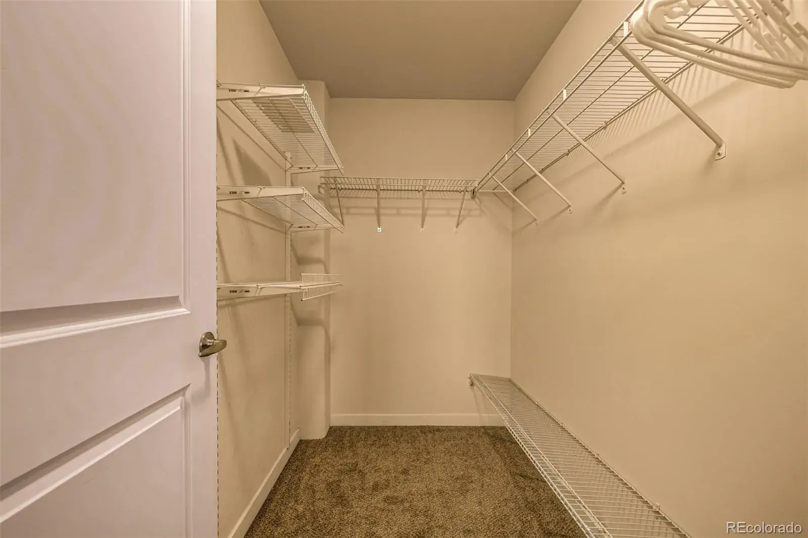 02202026034047 1600 28