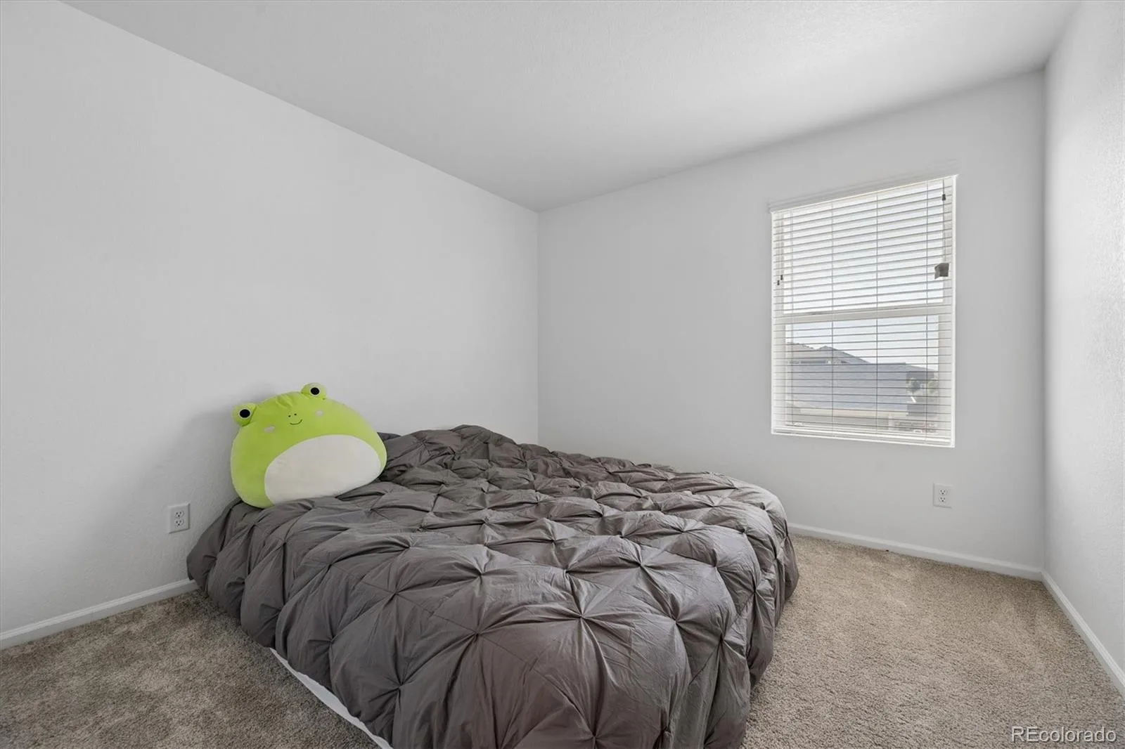 21052 E 60th Avenue Aurora CO 80019 | MLS #REC5246059 07252026165409 1600 12
