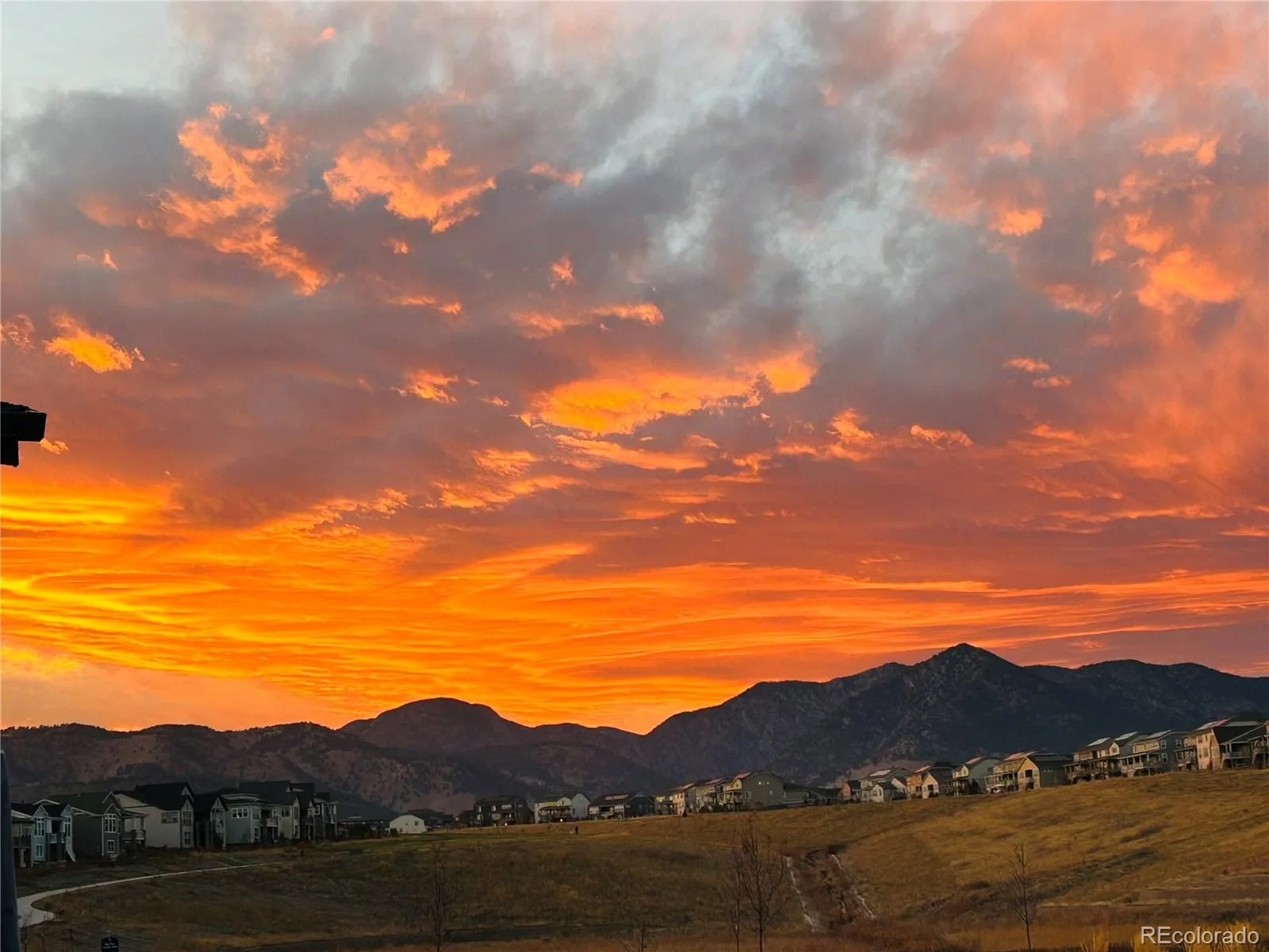 18483 W 94th Lane Arvada CO 80007 MLS #REC5246257 06182026013915 1600 3