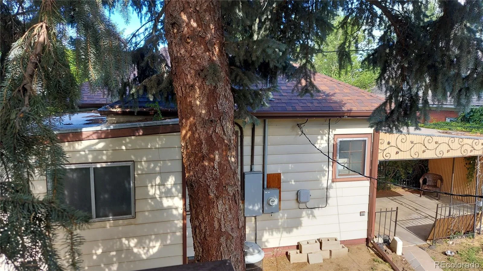 4583 Newton Street Denver CO 80211 MLS #REC5260689 06292026202815 1600 13
