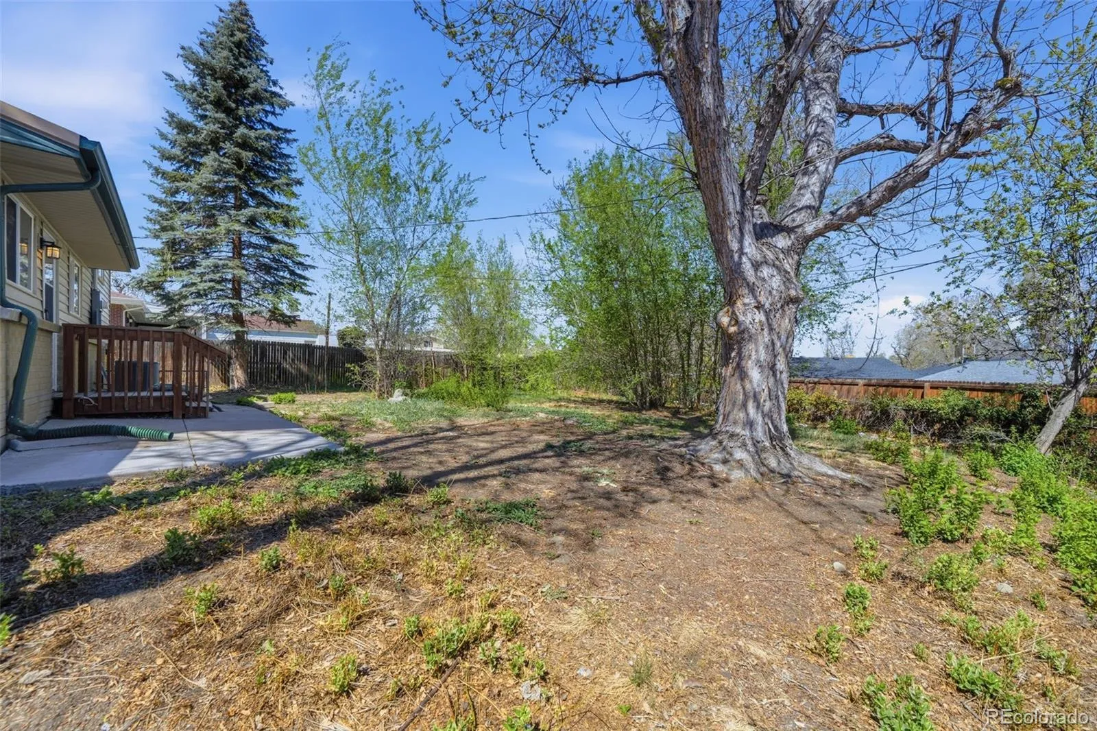 04072026230410 1600 33