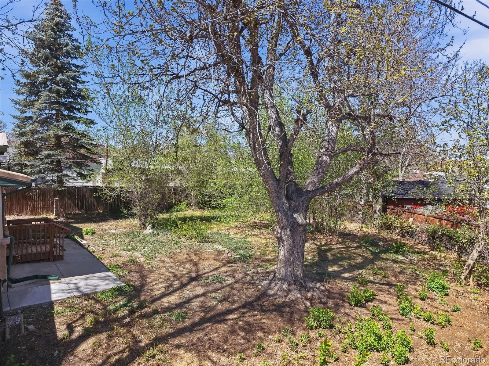 04072026230410 1600 37