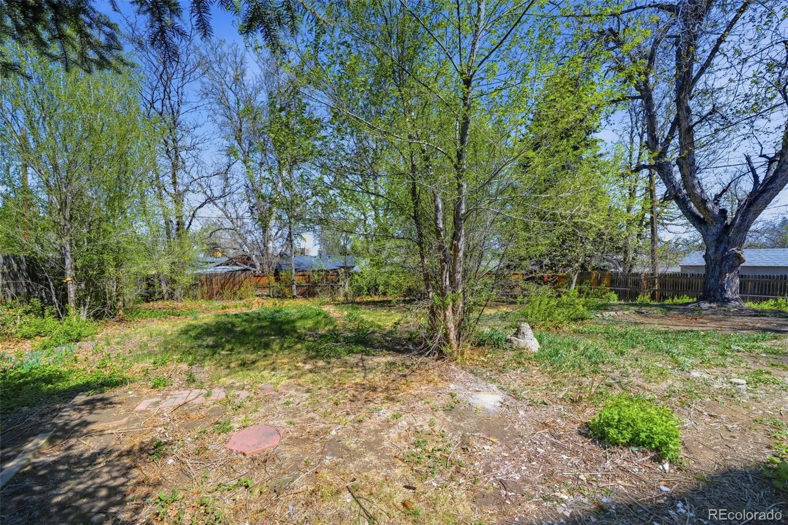 04072026230410 1600 38