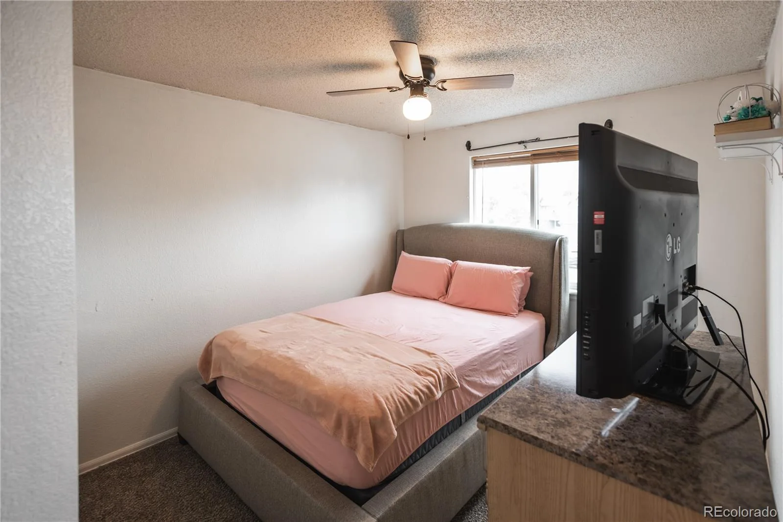 15002 E 50th Drive Denver CO 80239 | MLS #REC5269086 07092026204149 1600 26