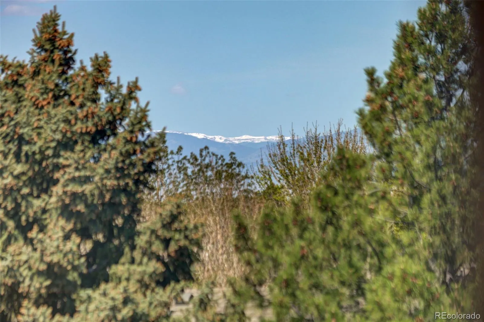 2901 S Tower Way Aurora CO 80013 MLS #REC5275402 05212026235834 1600 39