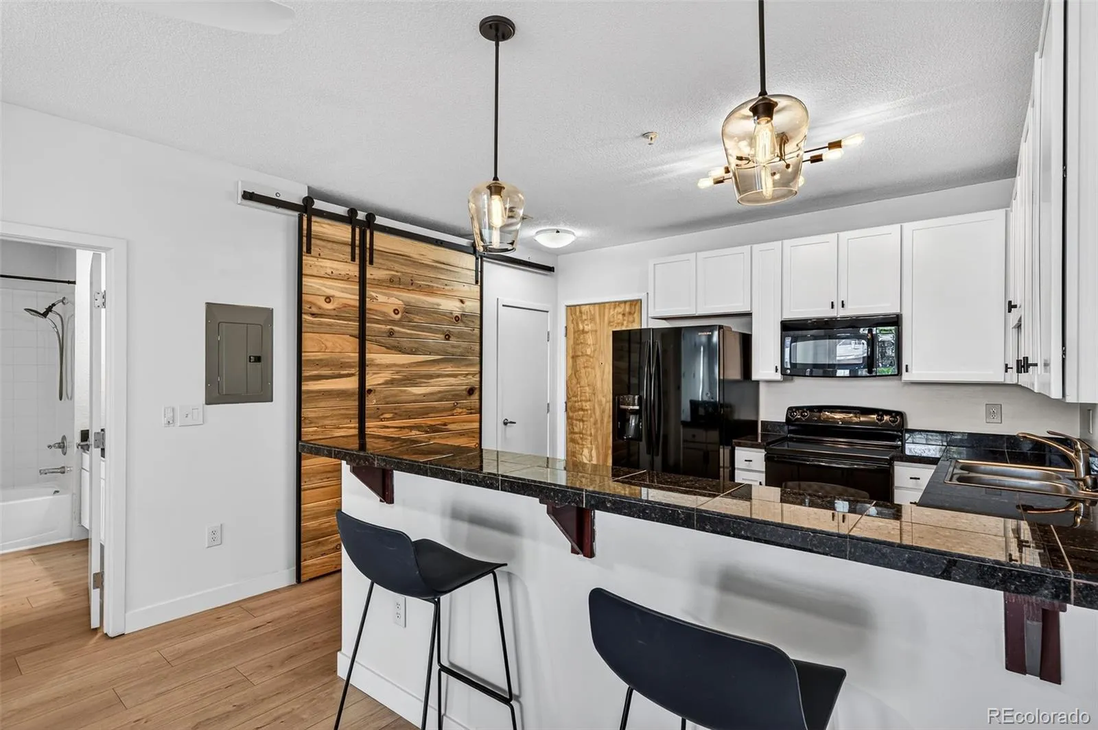 3101 Blake Street #205 Denver CO 80205 MLS #REC5277077 04242026161052 1600 10